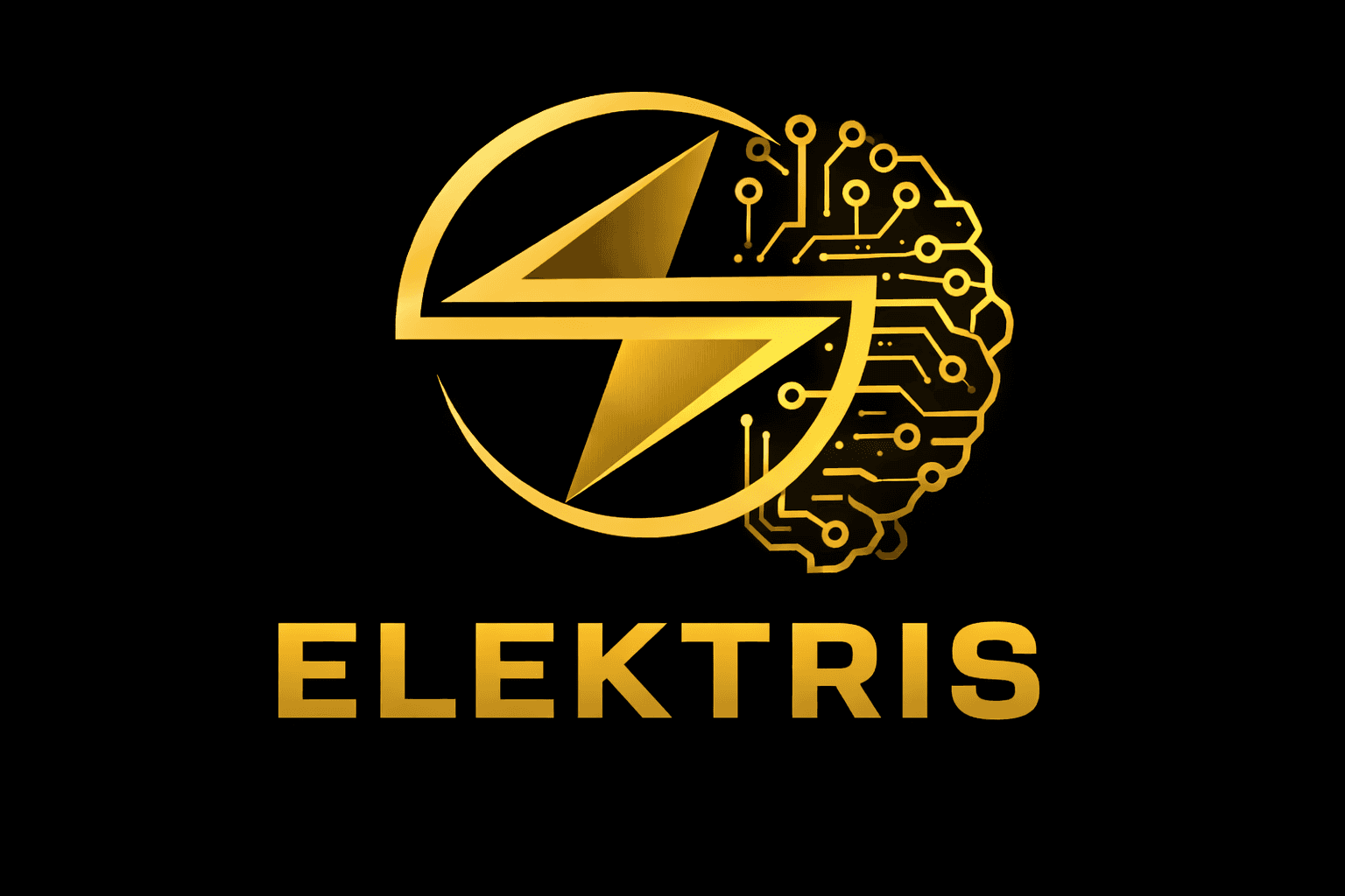 Elektris